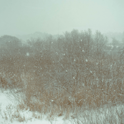 (kita-akita)のジャケット写真
