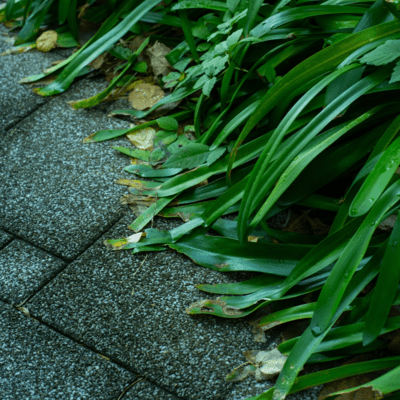 Katoのジャケット写真