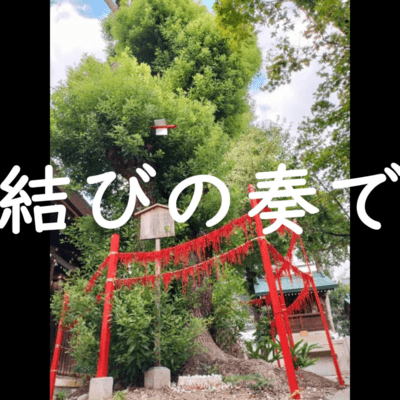 Melody of Connection (feat. Eri) Front Cover