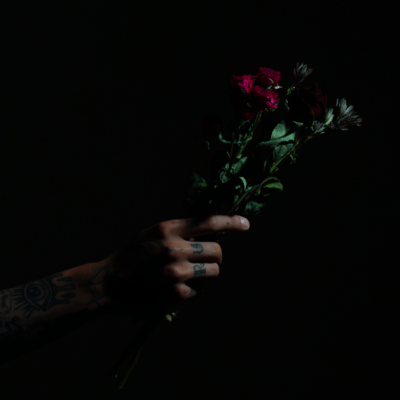 Blossom Spin Front Cover