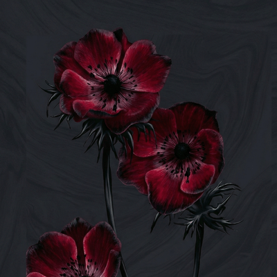 頑倶のジャケット写真