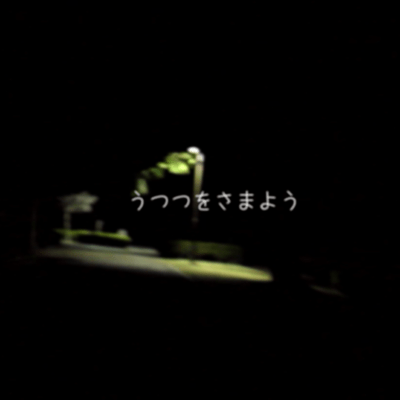 Wandering through reality Front Cover