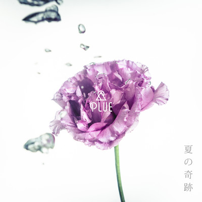 natsunokiseki Front Cover