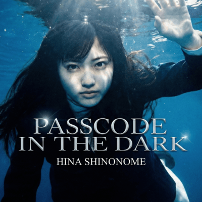 Passcode in the Dark Front Cover
