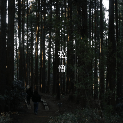 Ambivalent Front Cover