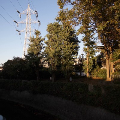 I hope it's not true all Front Cover