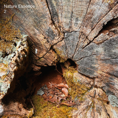 Nature Essence 2 Front Cover