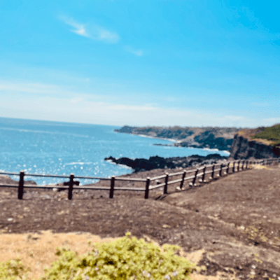 Spring Breeze Front Cover