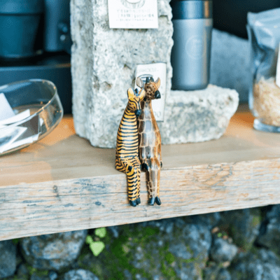 S.T.A.Yのジャケット写真