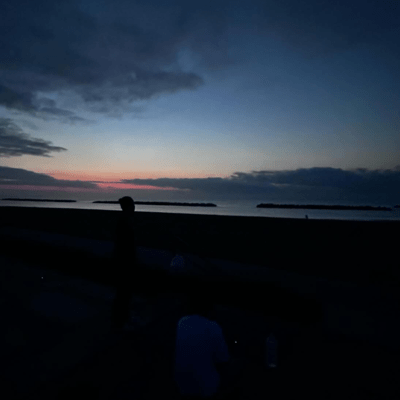 wander around Front Cover