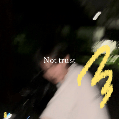 Not trust Front Cover