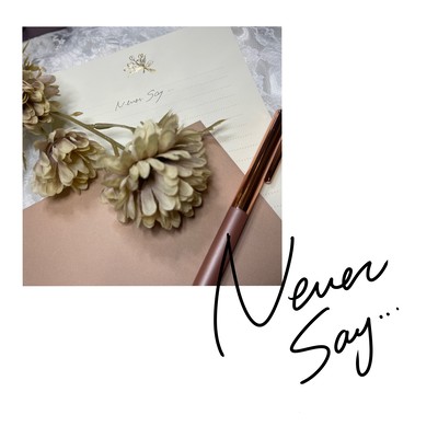 Never say...のジャケット写真