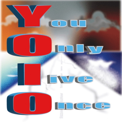 yolo... Front Cover