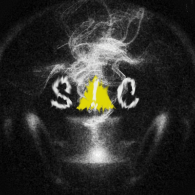 S!C (feat. PAO) Front Cover