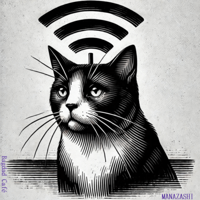 Wi-Fi cat Front Cover