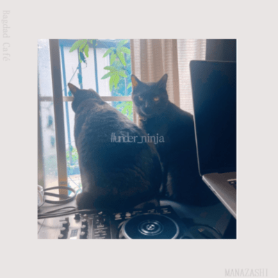 #under_ninja Front Cover