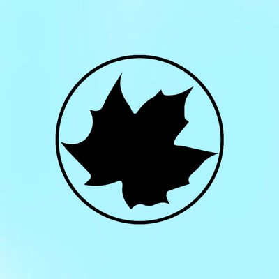 catch you Front Cover