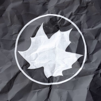 Fake Fur Front Cover