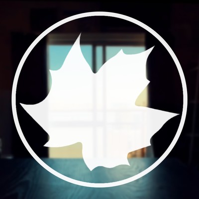 それでも夏に至るのジャケット写真