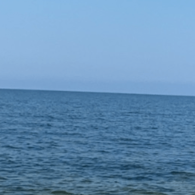 carry out Front Cover