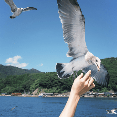 Aventure Front Cover