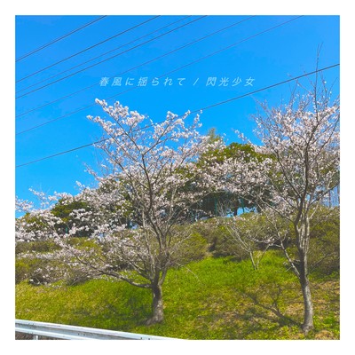 Swaying in the spring breeze Front Cover
