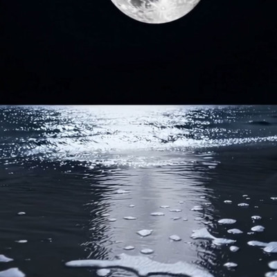 Within the gentle waves Front Cover