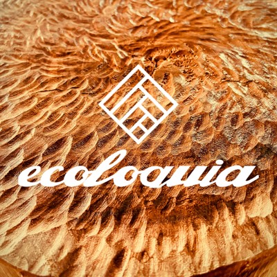ecoloquia Front Cover