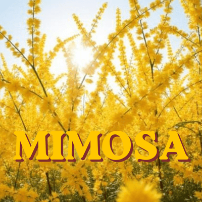 MIMOSA Front Cover