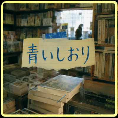 Blue Bookmark follows Front Cover