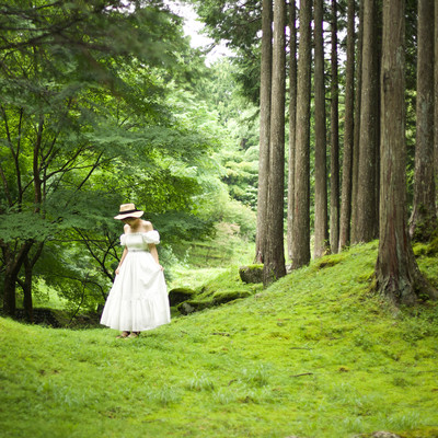 秘密の宝物のジャケット写真