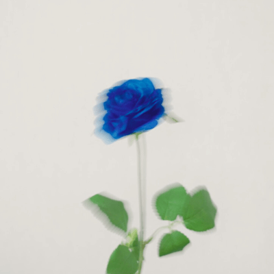 Rosesのジャケット写真