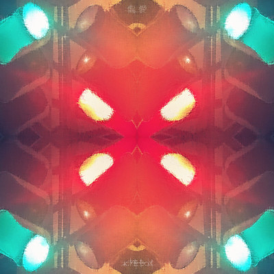 Partiality Front Cover