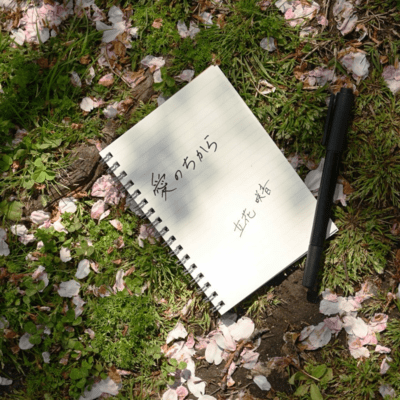 Force of love Front Cover