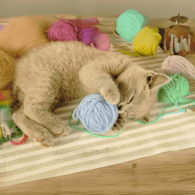 I'd love to borrow a helping hand. Front Cover