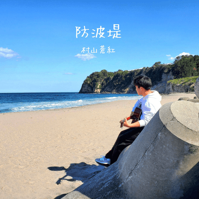 Harbor Wall Front Cover