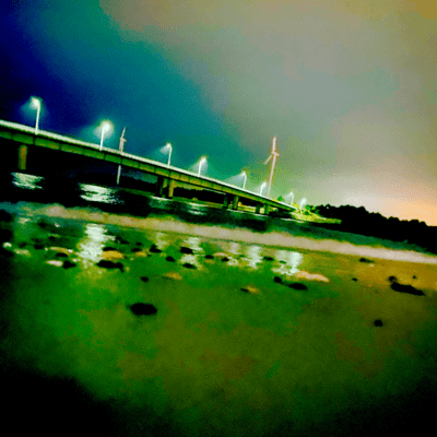 できることのジャケット写真