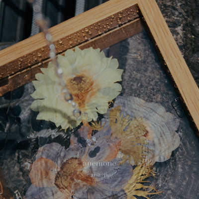 anemone (2026) Front Cover