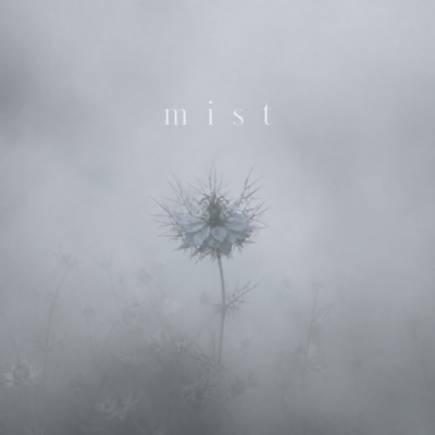 mist Front Cover