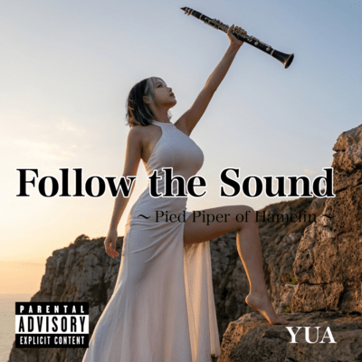 Follow the Sound Front Cover