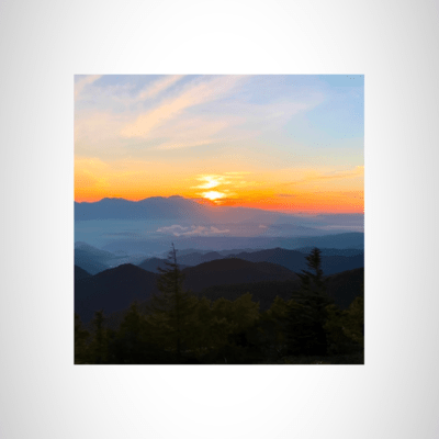 This Loveのジャケット写真