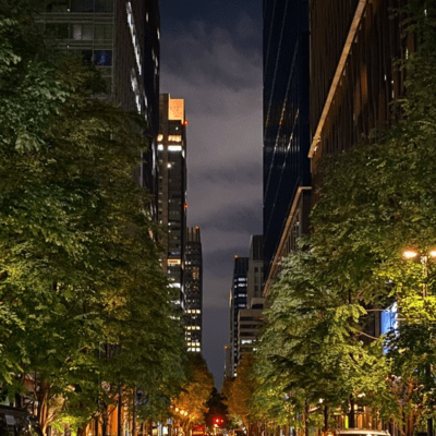 City Lights Front Cover