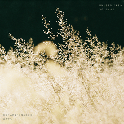 Hikarinonakae Front Cover