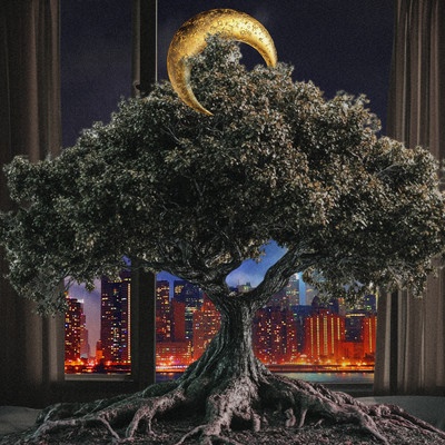 HOMESICK SAYONARA Front Cover