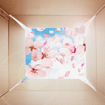 春の嵐のジャケット写真