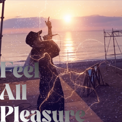 Feel All Pleasure Front Cover