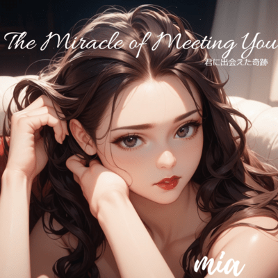 The Miracle of Meeting You Front Cover