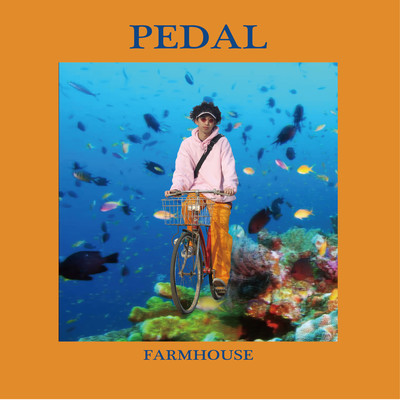 PEDALのジャケット写真