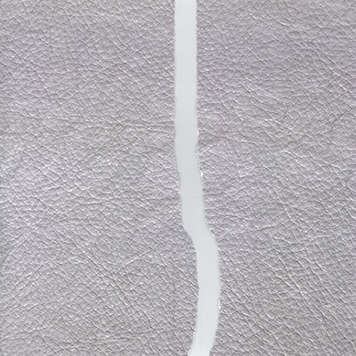 WALL (feat. Hys plasma)のジャケット写真