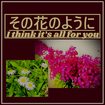 その花のようにのジャケット写真